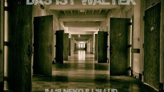 DAS IST WALTER...Album Cover