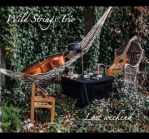 wild-strings-trio-cdcover