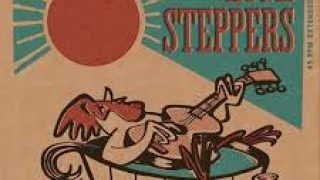 HIGH STEPPERS..The Flea..Vinyl cover actual