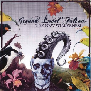 Ground Level Falcons..CDCover