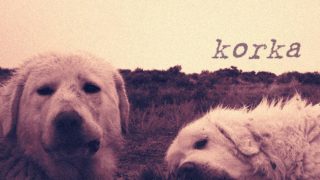 KORKA..Cover